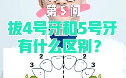 正畸拔4颗和5颗牙区别在哪？