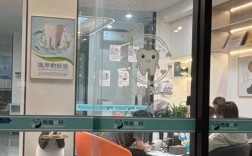 龙华附近牙齿矫正