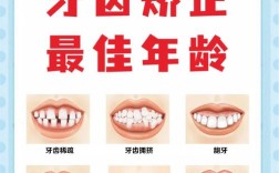 牙齿矫正的最佳时机