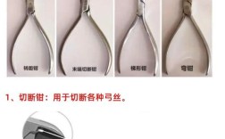 正畸牙钳有哪些种类？各自在矫正中起何作用？