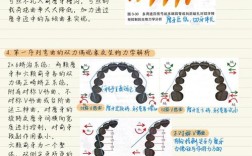 正畸方法压低伸长的牙