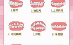 咬合板正畸治疗整个过程的时间安排一般是怎样的？