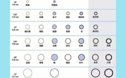 正畸橡皮圈型号和顺序