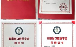 口腔正畸基金标书