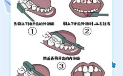 自己洗牙的方法