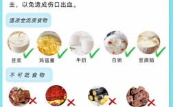 种牙后几小时才能放心吃东西？饮食时间太早或太晚有影响吗？