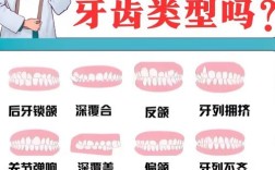 正畸一科二科区别