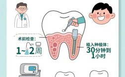 植牙戴牙需要多久