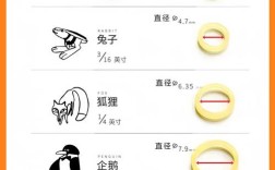 正畸弹力圈保质期