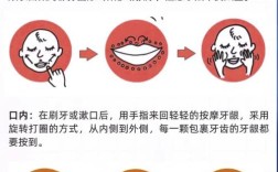 牙龈清洁与日常护理的正确方法有哪些？