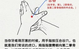 半夜牙疼难忍？有哪些快速缓解小妙招？