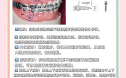 正畸bws弓的功能是什么？作用与应用解析