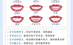 口腔正畸需掌握哪些核心内容？