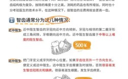 拔智齿加种牙要多少钱