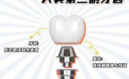 种牙材料区别大吗？哪种更适合？