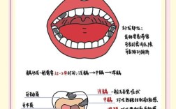 龋病的治疗方法有哪些？不同龋齿程度如何选择合适的治疗方式？