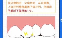 确定咬合关系有几种方法