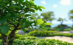 珠海种植牙为何专注九龙区？有何特别原因或优势？