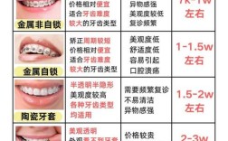 牙科正畸收费图片