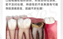 正畸治疗为何会导致牙坏死？探究其发生机制、风险因素及预防措施