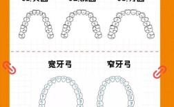 如何测量正畸牙弓长度？