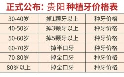 種植一個牙多少錢