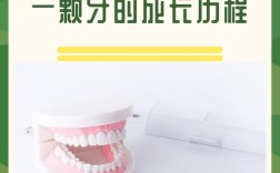 种牙的存活时间为何能长达数十年？其背后涉及哪些关键因素与日常维护要点？