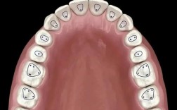 下颌第一磨牙开髓方法的关键步骤是什么？