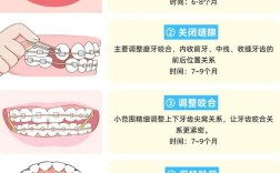 成人牙齿正畸的方法