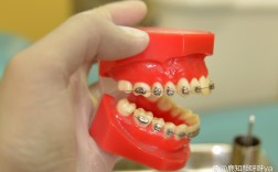 重庆拜博牙齿正畸效果如何？价格与医生技术靠谱吗？