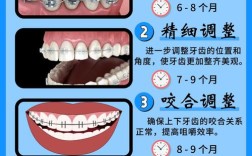 正畸磨牙最大移动距离具体是多少毫米？