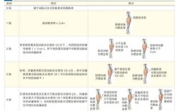 临床不同类型疾病常用的血运重建方法各有何具体适应证与选择策略？