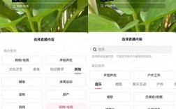 抖音背景图与直播自助下单哪里24小时在线？