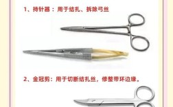 口腔正畸科常用材料