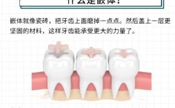牙齿茜体支配方法具体指什么？其实施步骤和适用场景有哪些？