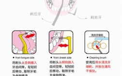 如何正确使用正畸牙间隙刷？详细步骤、技巧与注意事项全解析