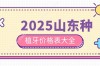 山东种牙价格2025