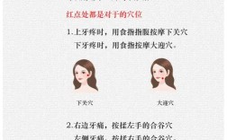 按摩牙龈的正确方法