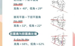 颌平面是什么？其确定方法有哪些关键步骤？