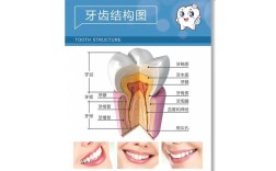 牙齿矫正该挂口腔科吗？挂号指南在此