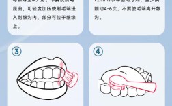 牙齿矫正期间，如何正确刷牙才能有效清洁？