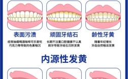 牙齿变黑变黄物理方法