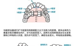 牙齿拥挤有哪些解决方法？传统矫正和隐形矫正哪种更适合自己？矫正后效果能维持多久需要注意什么？
