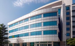 种牙山东泰安的医院