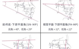 正畸面轴角的测量