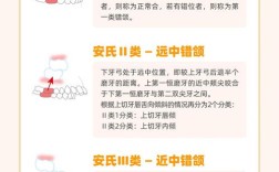口腔正畸安氏一类是什么？有哪些典型特征与矫正方法？