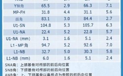 正畸模型如何分析牙量骨量协调性？