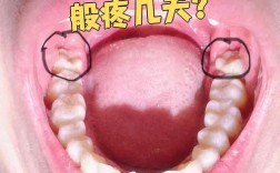 牙齿矫正时长是否会因智齿位置或拔除情况而变化？