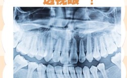 牙齿正畸x光变化