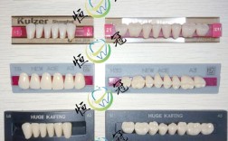 矫正牙齿的材料有哪些？不同材料有何区别与应用？